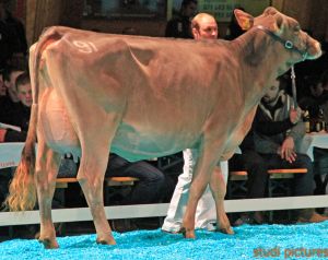 6Hofstetter s Big Boy Britney